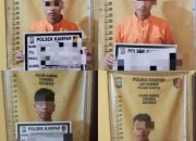 Cabuli Anak Dibawah Umur, 4 Pemuda Diringkus Polsek Kampar