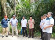 Pj Bupati Hambali Tinjau Lokasi Tragdei Maut Pekerja PT Ciliandra Perkasa Siabu