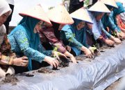 Ricana Djayanti Dampingi Ketua TP PKK RAIAU Zuliana Kunker Gertam Cabe di Stanum