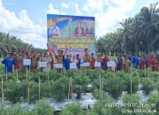 Wakili Pj Bupati, Kadis Pertanian dan Kadisketapang Kampar Lakukan Panen Raya Cabai