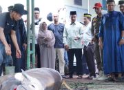 Bupati, Wabup, Keluarga Saksikan Pemotongan Hewan Kurban Presiden RI dan Pemda Kampar di Islamic Centre Bangkinang