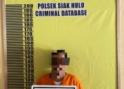 Pelaku Pembunuhan di Siak Hulu Diciduk di Lokasi Kejadian, Motifnya Bikin Geleng-Geleng Kepala