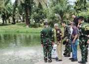 Jadi Penopang Ketersediaan Pangan, Yonif 132/BS Bangun Kolam Harapan