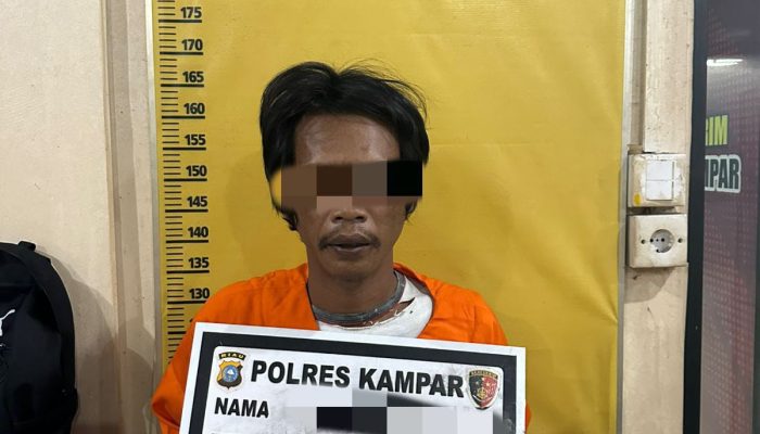 Cabuli Anak Dibawah Umur Selama 7 Tahun, Pelaku Berhasil Ditangkap Polres Kampar