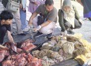 Kenali Penyakit Cacing Hati Pada Hewan, Ini Kata Disbunnakkeswan Kampar