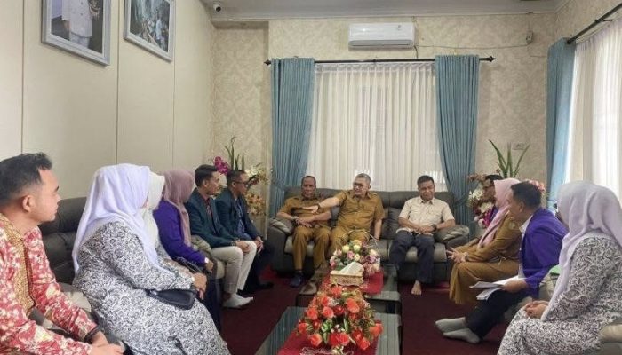 Sambut HKN Ke-61, Bupati Kampar Lakukan Pertemuan dengan Seluruh Organisasi Profesi Kesehatan