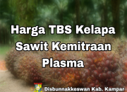 Disbunnak Keswan Kampar Rilis Harga TBS Swadaya