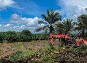 Disbunnak Keswan Tekankan Program PSR Tidak Dilakukan Dalam Kawasan