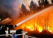 Bentuk Upaya Cegah Kebakaran, Disbunnak Keswan Kampar Tekankan Perusahaan Siapkan Tim Fire Bridge