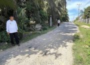 Komitmen Dukung Aktivitas Mobilitas Masyarakat, Bupati Tinjau Ruas Jalan Penghubung Kampar Kiri yang Rusak
