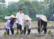Bupati Ahmad Yuzar Canangkan Gerakan Tanam Padi Sawah