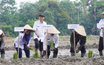 Bupati Ahmad Yuzar Canangkan Gerakan Tanam Padi Sawah