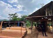 Sawmill Ilegal di Kampar di Bongkar Polda Riau, 780 Batang Kayu Hasil Illegal Logging Disita