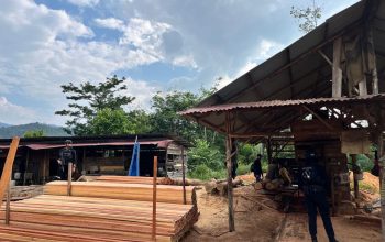 Sawmill Ilegal di Kampar di Bongkar Polda Riau, 780 Batang Kayu Hasil Illegal Logging Disita