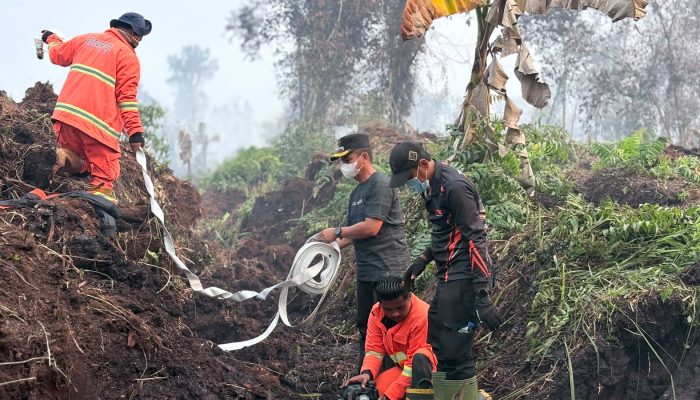 Bupati Ahmad Yuzar Himbau Masyarakat Untuk Tidak Membakar Lahan Guna Selamatkan Lingkungan