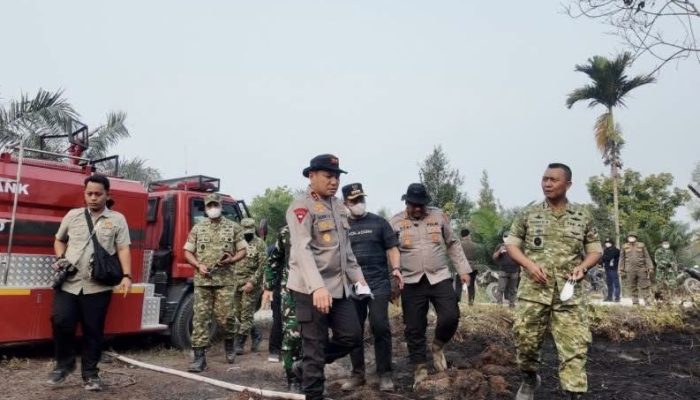 Bupati Ahmad Yuzar bersama Pangdam XIX/Tuanku Tambusai dan Plt Gubri Tinjau dan Tangani Kebakaran
