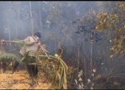 Tempuh 5 Jam Menembus Medan Terjal, Kapolres Kampar Pimpin Pemadaman 7 Titik Api di Sungai Sarik-Balung