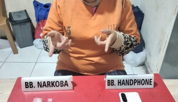 Satresnarkoba Polres Kampar Tangkap IRT Diduga Jual Sabu di Bukit Kemuning