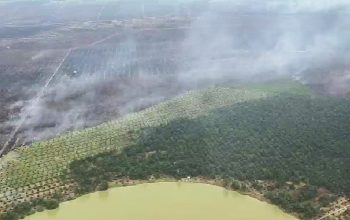 Kapolda Riau Patroli Udara, Pastikan Karhutla Pelalawan Ditangani hingga Tuntas